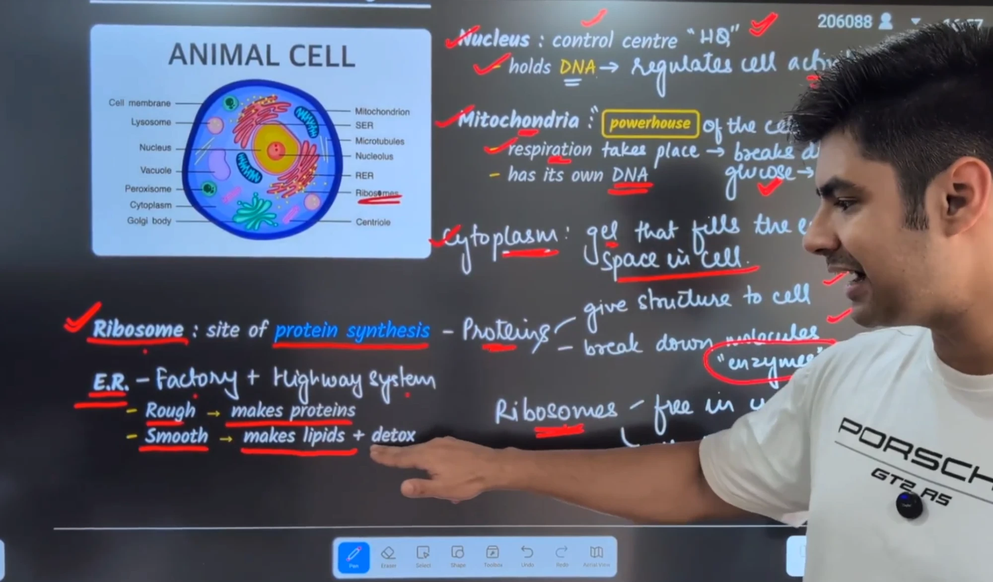 Anmol teaching the animal cell