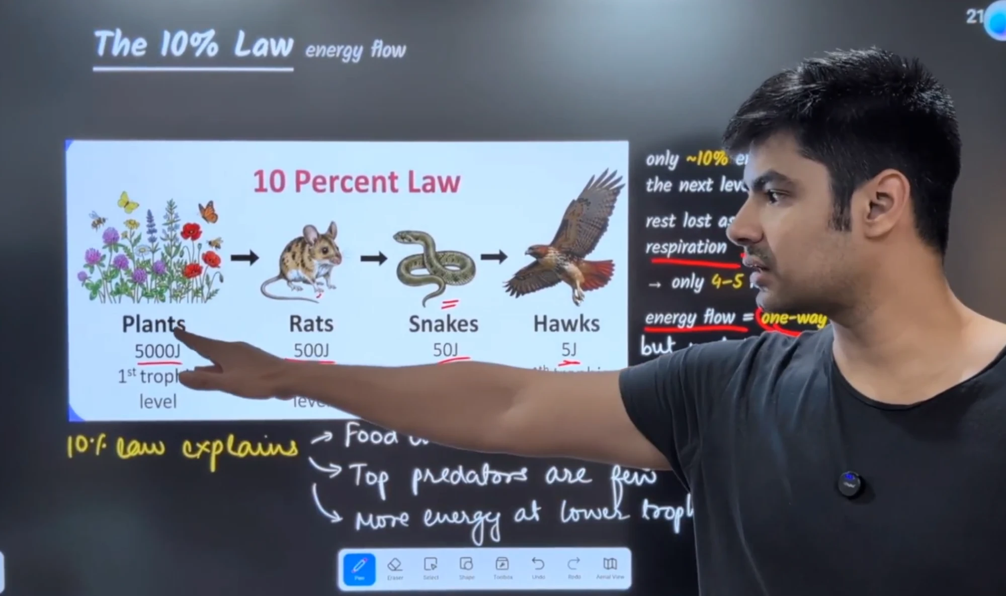 Anmol teaching the 10 percent law of energy flow